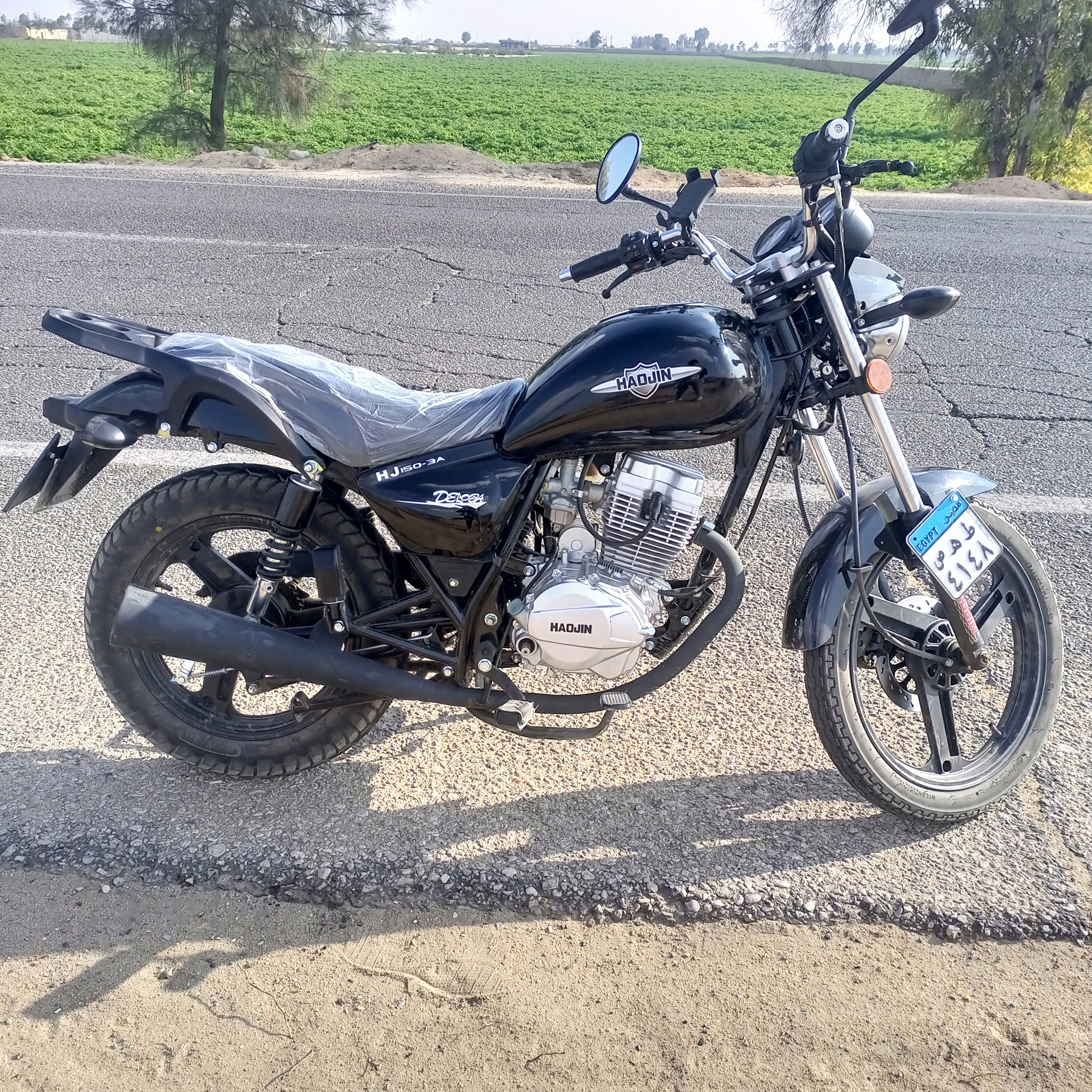 هوجين ياباني 2025