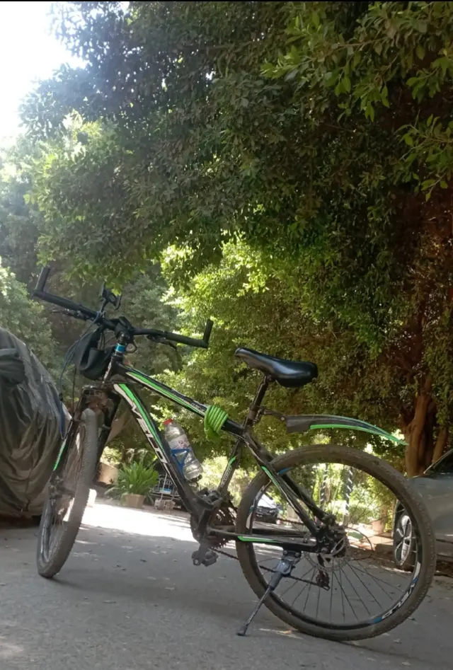 VELO